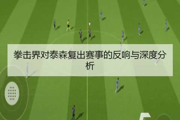 拳击界对泰森复出赛事的反响与深度分析