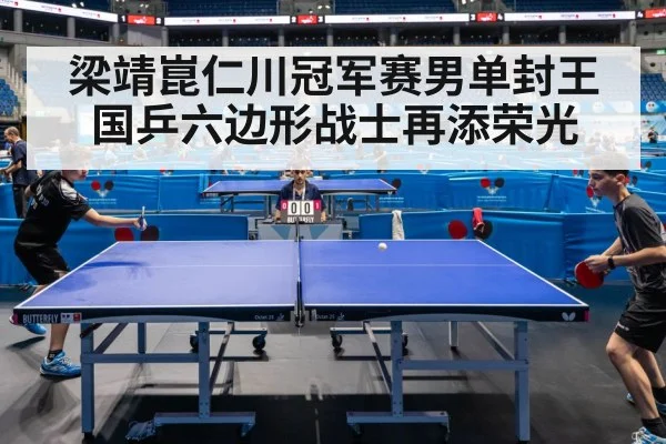 梁靖崑仁川冠军赛男单封王 国乒六边形战士再添荣光